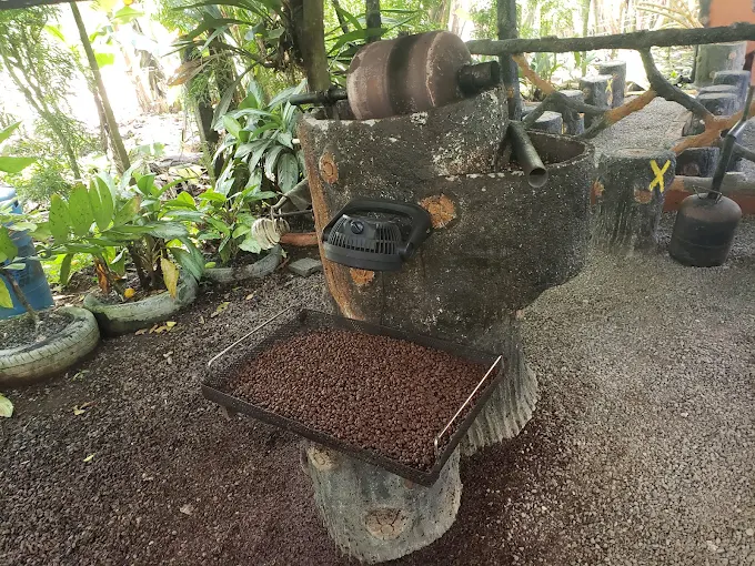 Coffee Plantation & Indigenous Culture - Image 3
