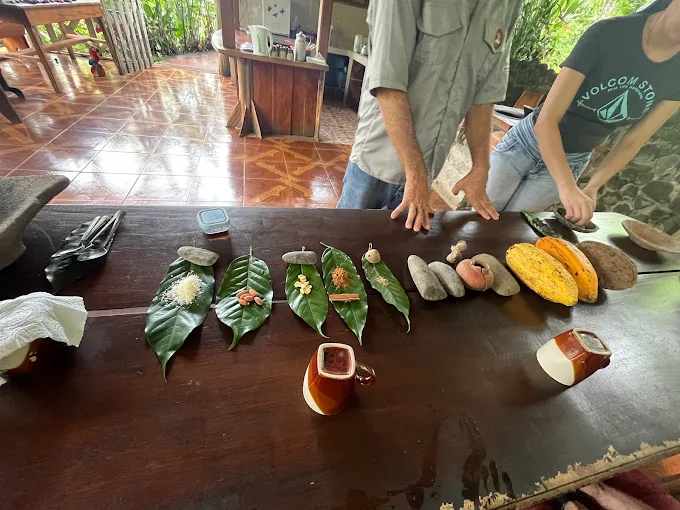 Coffee Plantation & Indigenous Culture - Image 4