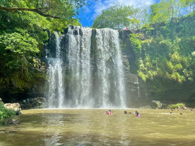 Rio Celeste & Butterfly Garden - Image 4