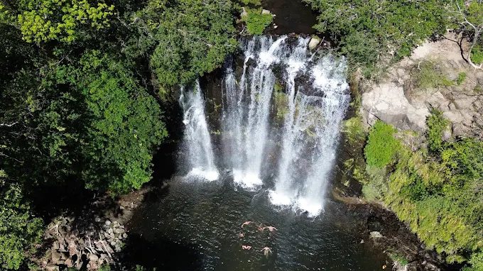 Rio Celeste & Butterfly Garden - Image 5