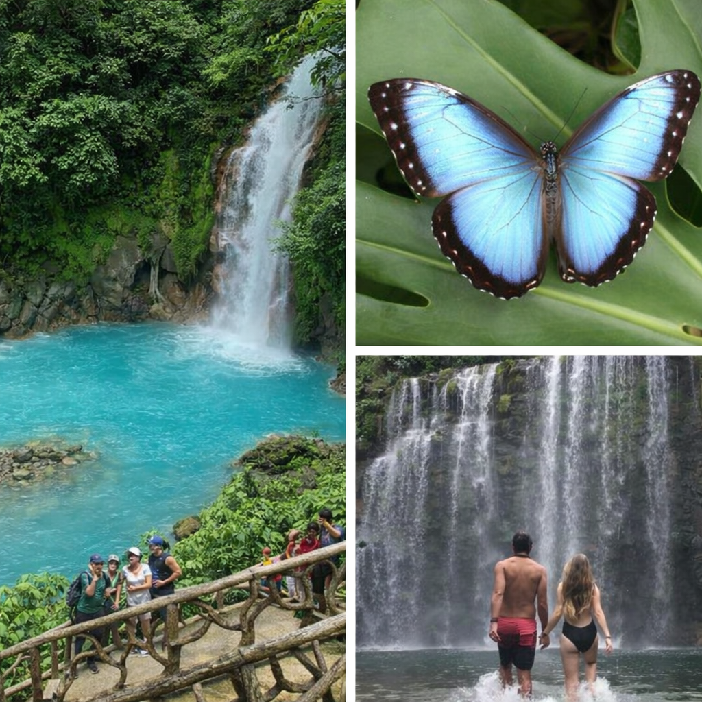 Rio Celeste & Butterfly Garden