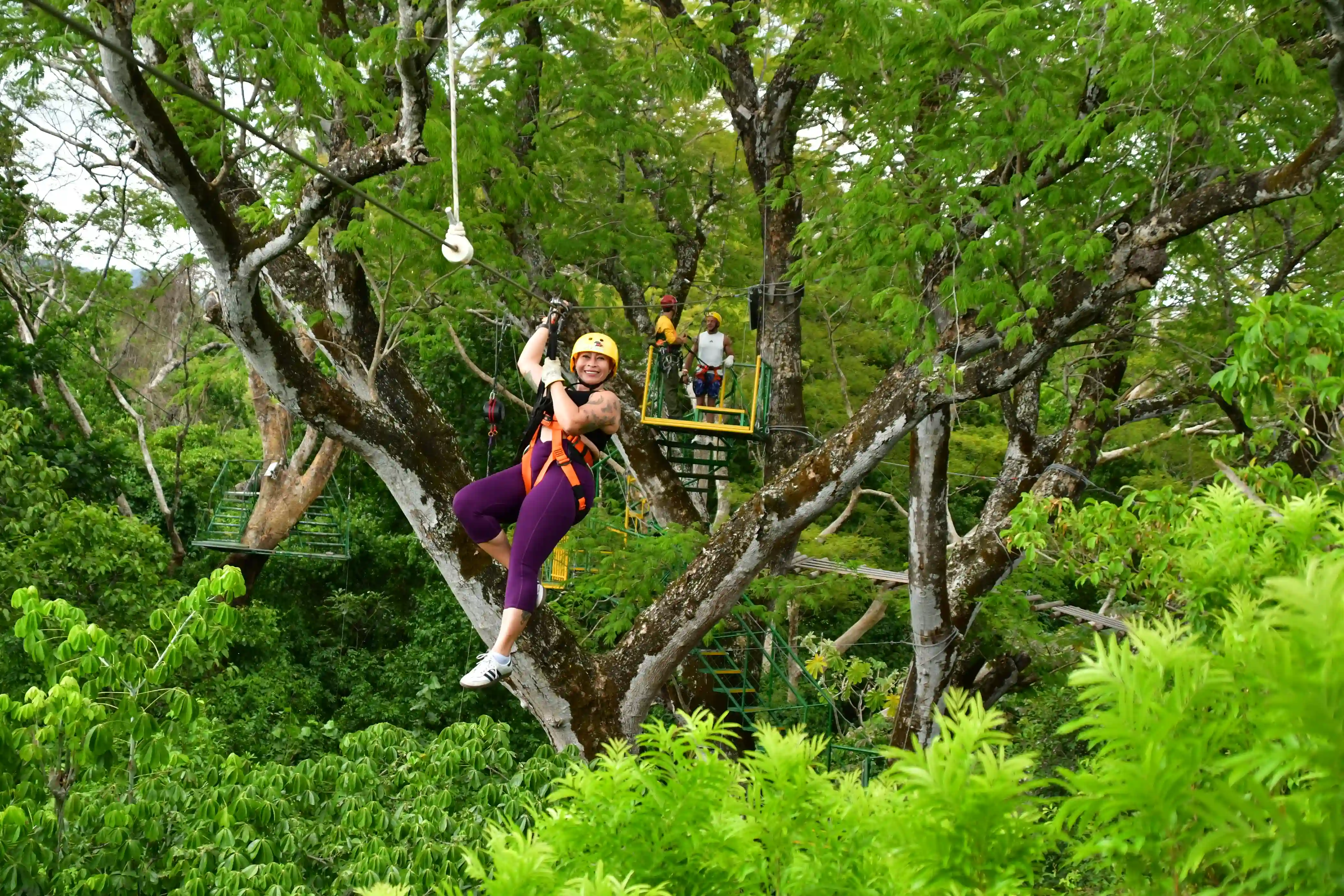 Green dry-tropical forest canopy at Skyline Canopy Tour in Guanacaste in December