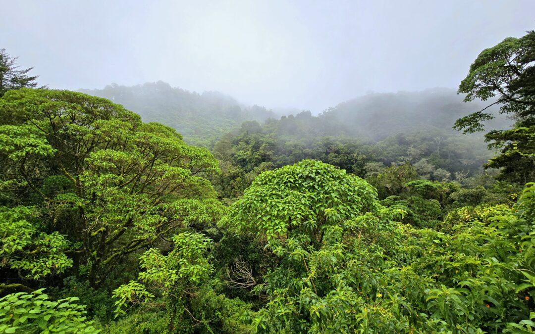 What to Bring on an Arenal Rainforest Tour: The Definitive Packing List