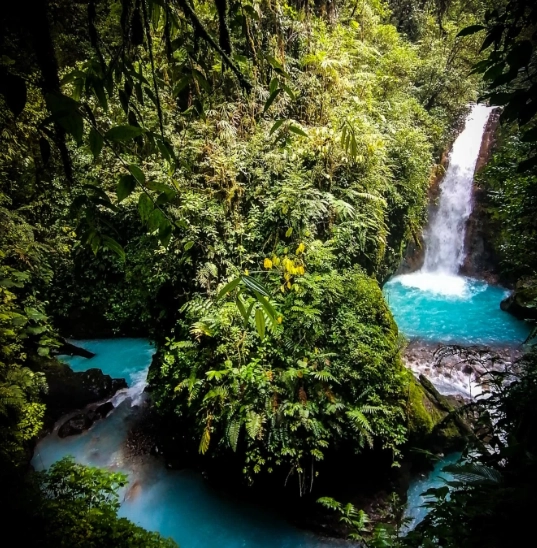 Lush green landscapes that stay vibrant all year round thanks to Costa Rica's tropical climate