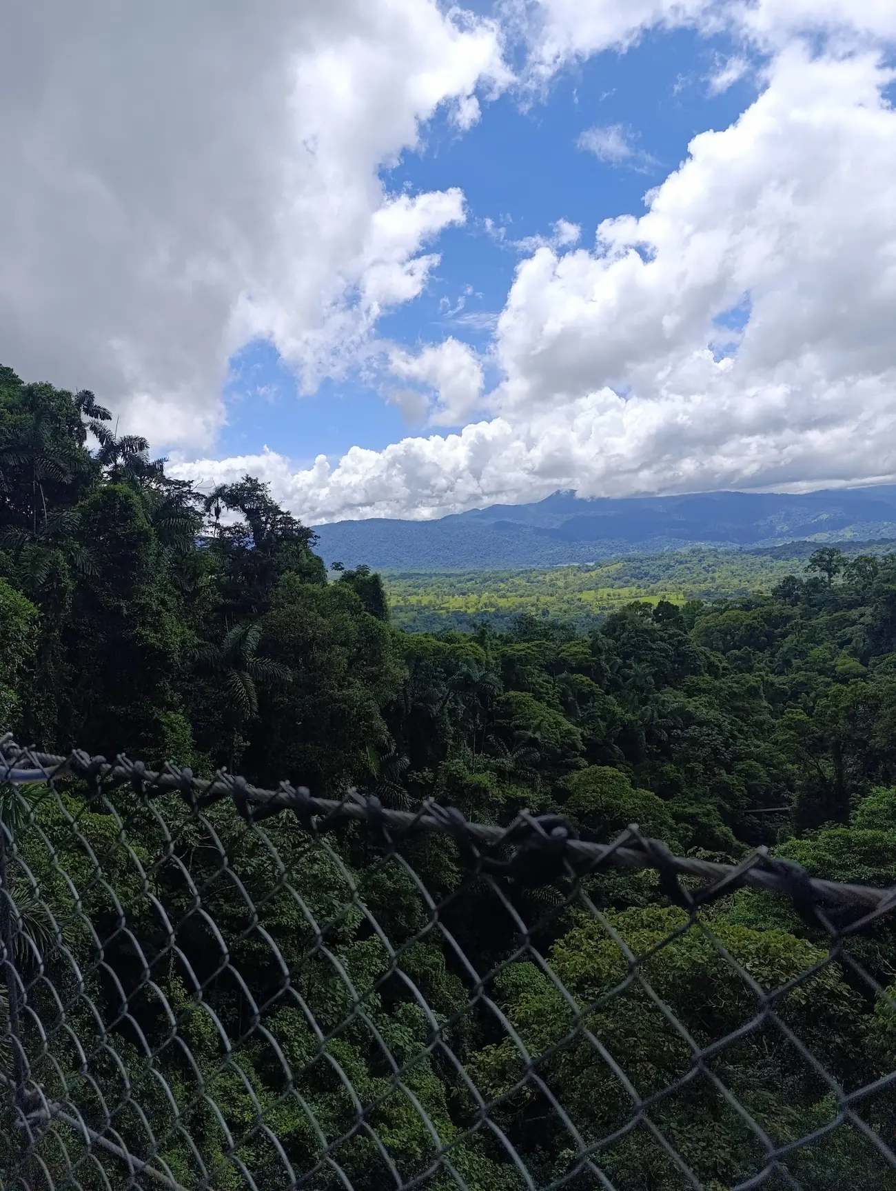 Arenal Hanging Bridges - 3