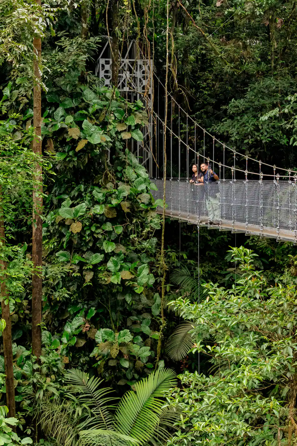 Tour experience in La Fortuna with Gabriel