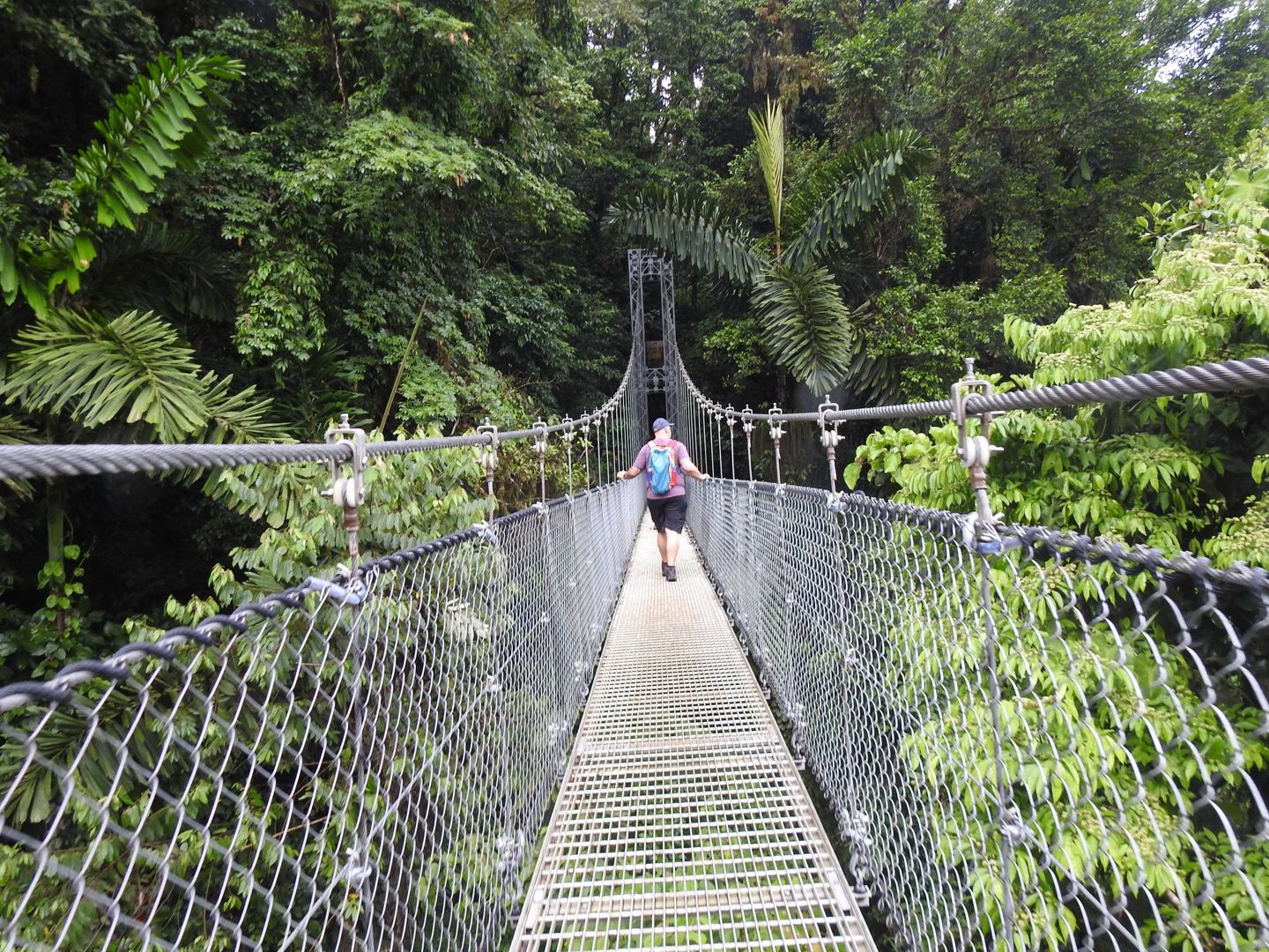 Arenal Hanging Bridges - 2