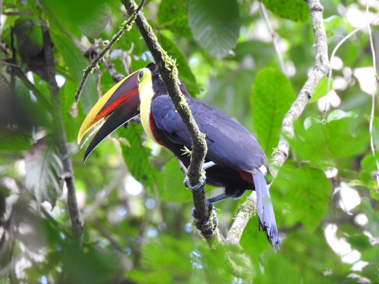 Birdwatching Tour - 2