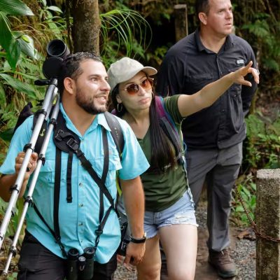 Sloth & Wildlife Tour