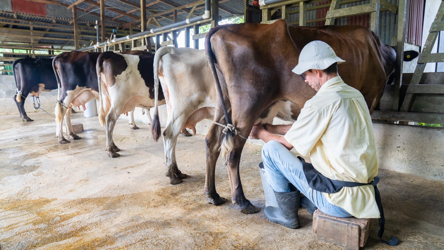 Visit a Costa Rican Family