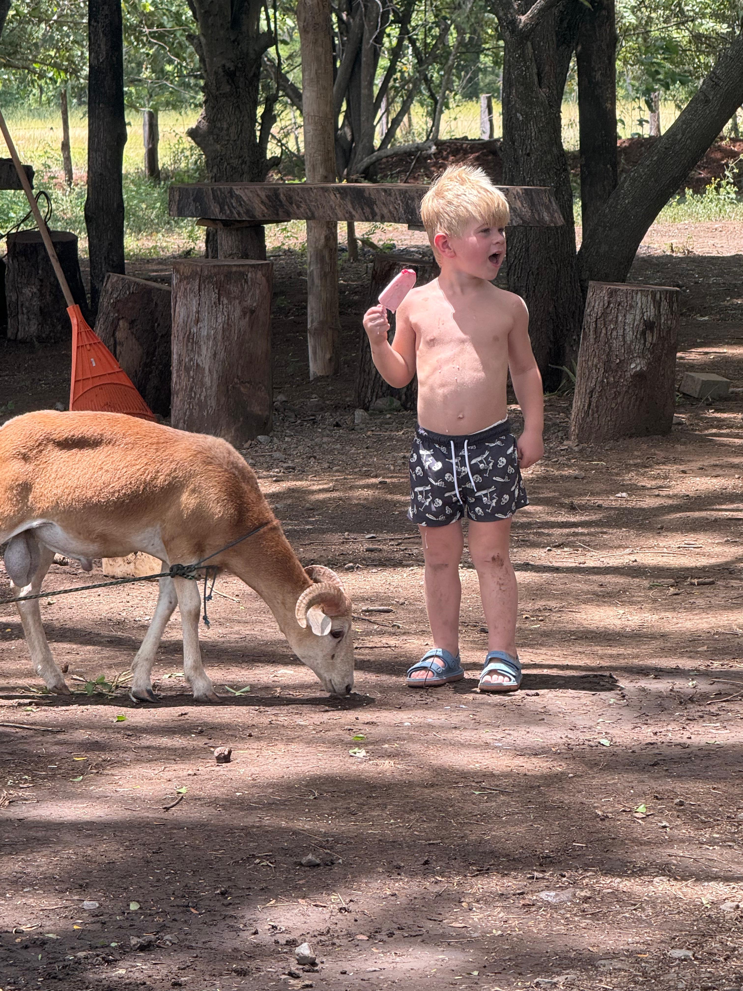 Kid meeting a sheep at JYS base camp