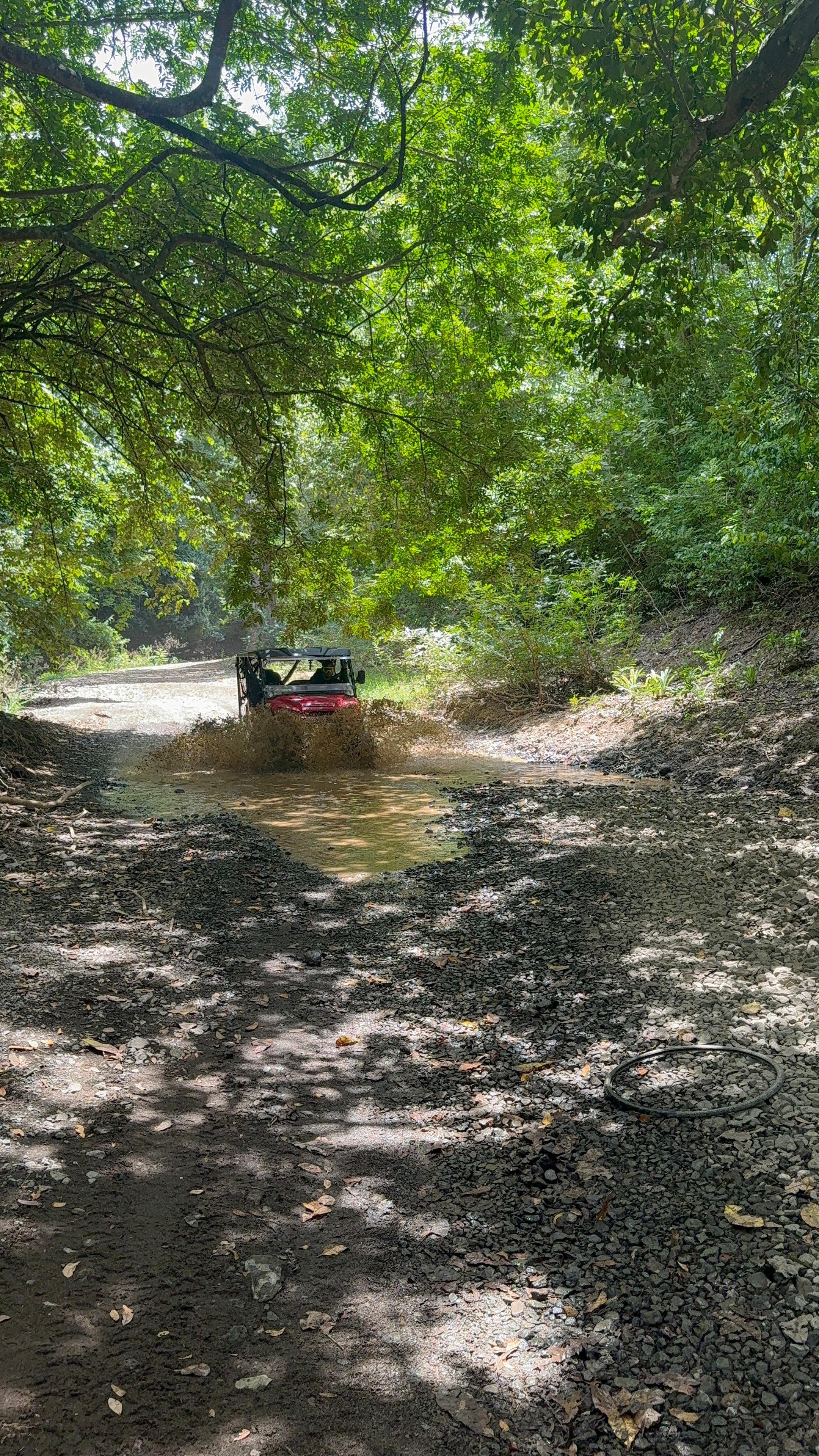 UTV riding under the Guanacaste tree canopy