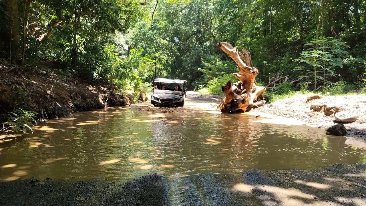UTV crossing the river beside a fallen tree